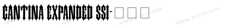 Cantina Expanded SSi字体转换